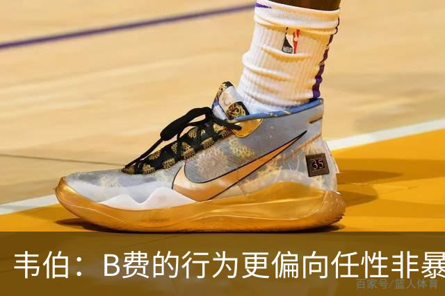 韦伯：B费的行为更偏向任性非暴力，理应黄牌但VAR无法介入